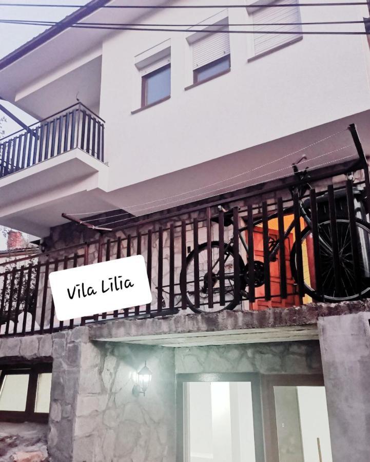 Lake View Apartment Οχρίδα Εξωτερικό φωτογραφία